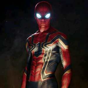 Disfraz Spiderman Iron - 116323