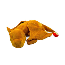 Cargar imagen en el visor de la galería, Peluche Charizard durmiendo 50cm -117226
