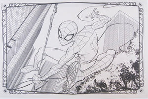 Libro para colorear Spiderman Gigante - 115072